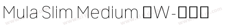Mula Slim Medium 中W字体转换